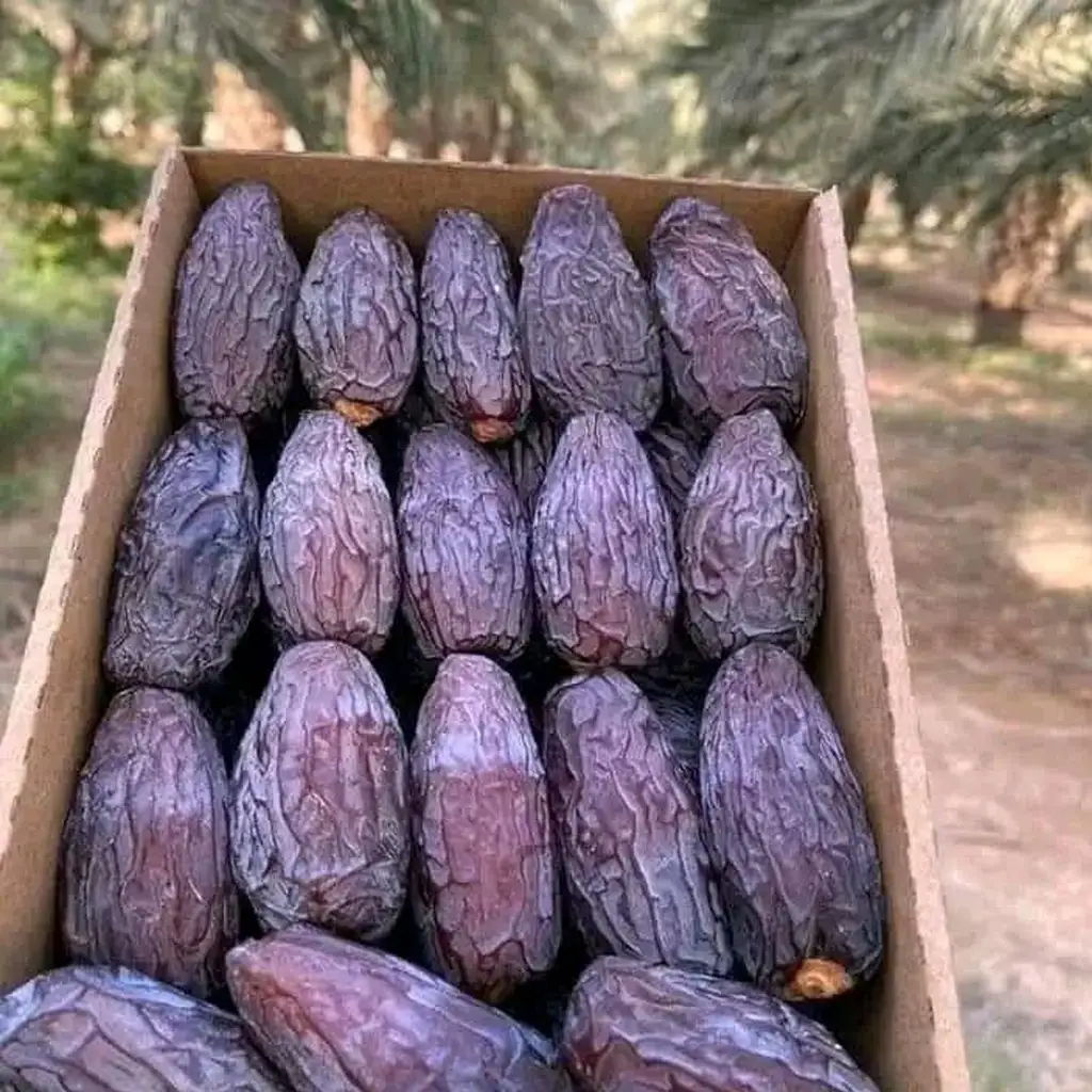 Medjool3
